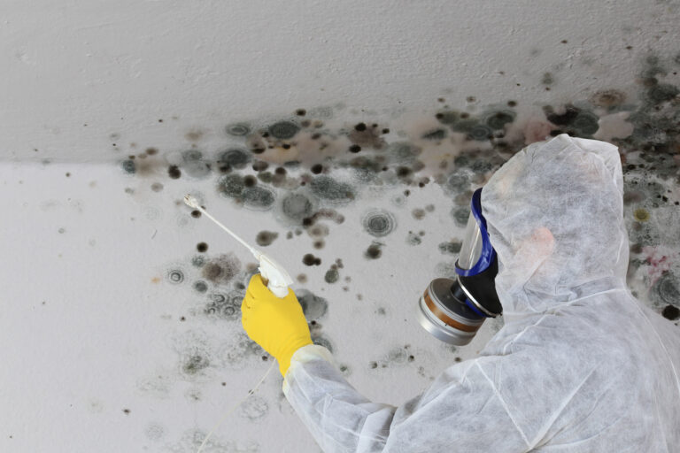 Person in a hazardous materials suit and yellow gloves, with a gas mask spraying mould on a ceiling and wall.